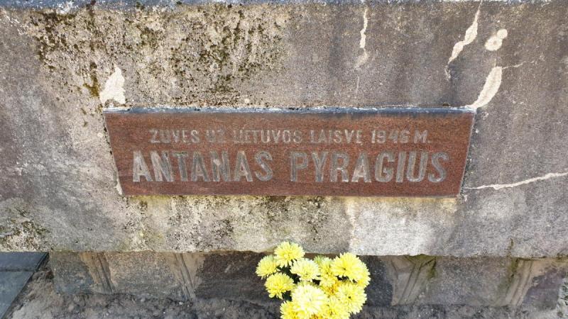 Paminklas broliams Pyragiams Baluškių kaime