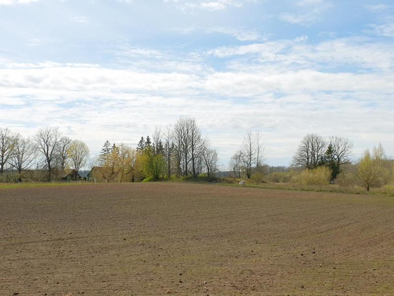 Norelių kapinynas