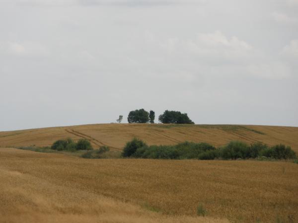 Mažųjų Grūžių dvarvietė