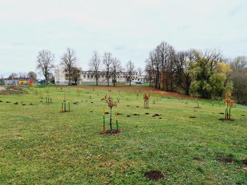 Skulptūra-meninė kompozicija „Saločių ąžuolynas Lietuvos valstybės atkūrimo šimtmečiui“ Saločių miestelyje, Saločių seniūnijoje