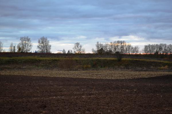 Papyvesių senkapis ir senovės gyvenvietė
