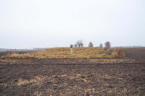 Šedeikonių pilkapis
