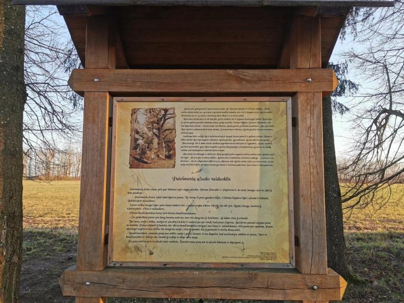 Pajiešmenių parko ąžuolas