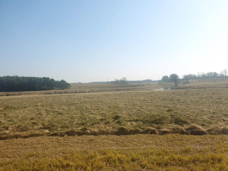 Vaidžiūnų kapinynas