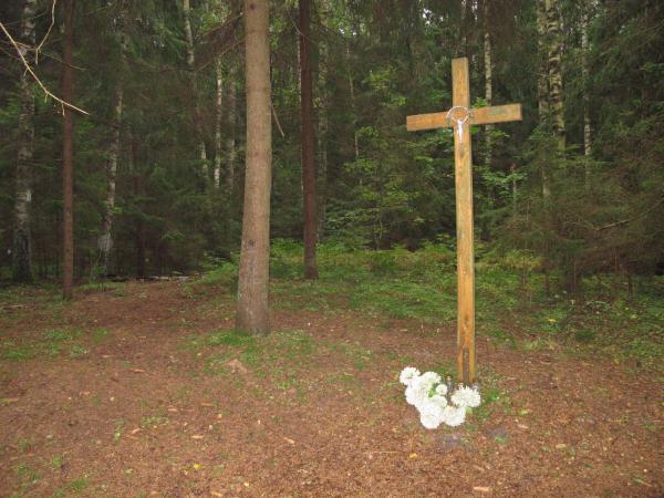 Partizanų bunkeris Žaliojoje girioje, netoli Druciškių kaimo