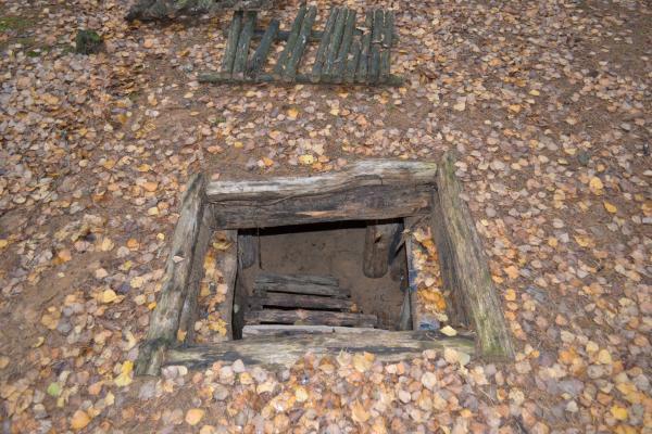 Bunkeris Margiuose, Žaliojoje girioje