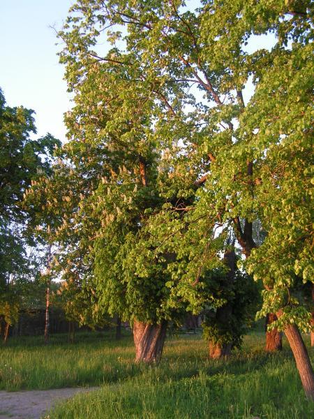 Vytartų dvaras