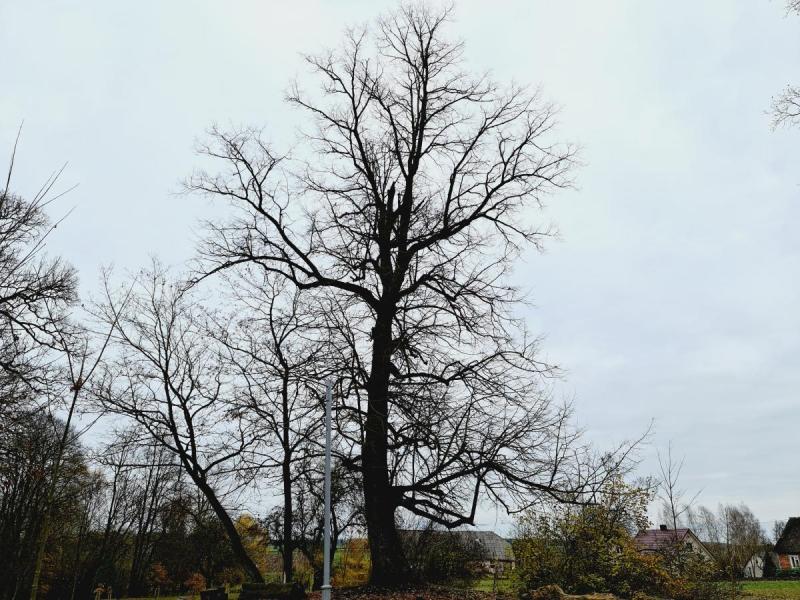 Saločių dvaras